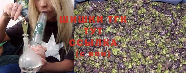 стаф Новозыбков