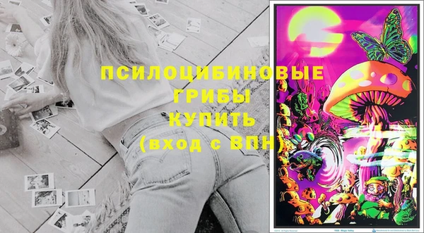 стаф Новозыбков