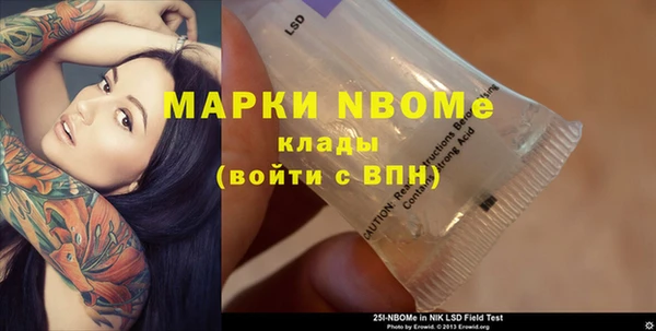 стаф Новозыбков