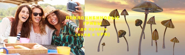 стаф Новозыбков