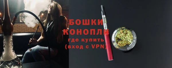 гашик Бердск