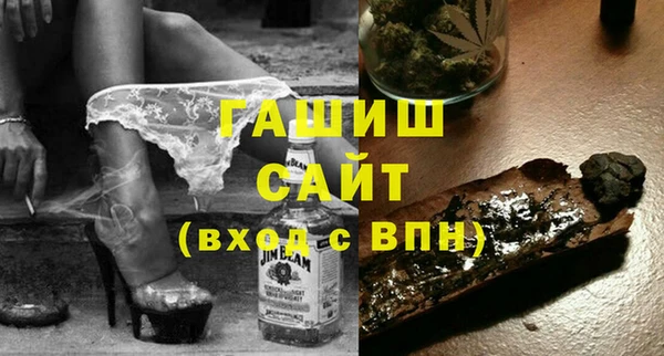 стаф Новозыбков