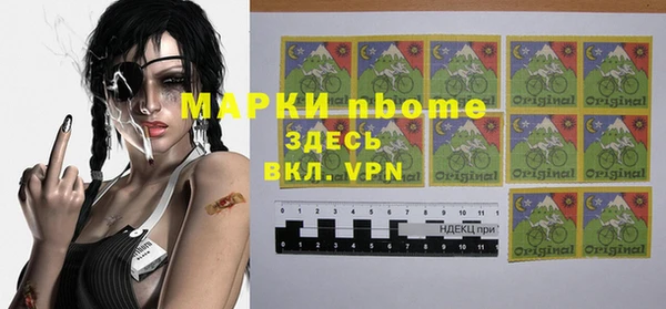 стаф Новозыбков