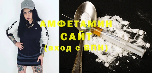 стаф Новозыбков