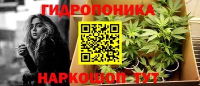 apvp Балашиха