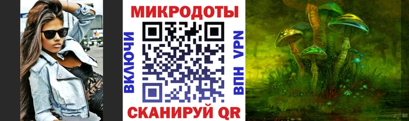 Галлюциногенные грибы MAGIC MUSHROOMS  купить закладку  Копейск 