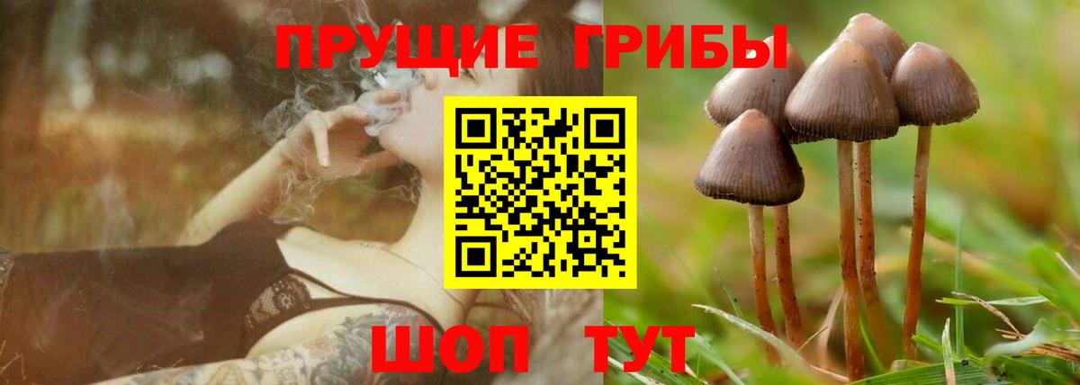 Псилоцибиновые грибы прущие грибы Копейск